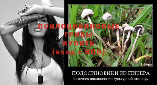 гашик Арсеньев