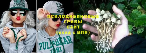 гашик Арсеньев