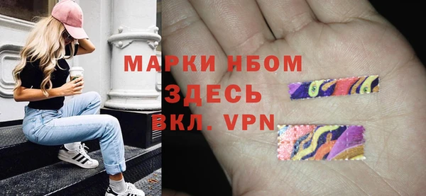 стаф Липки