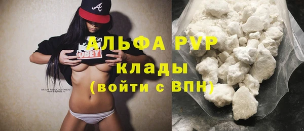 гашик Арсеньев