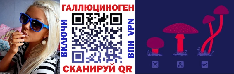 Галлюциногенные грибы MAGIC MUSHROOMS  Петропавловск-Камчатский 