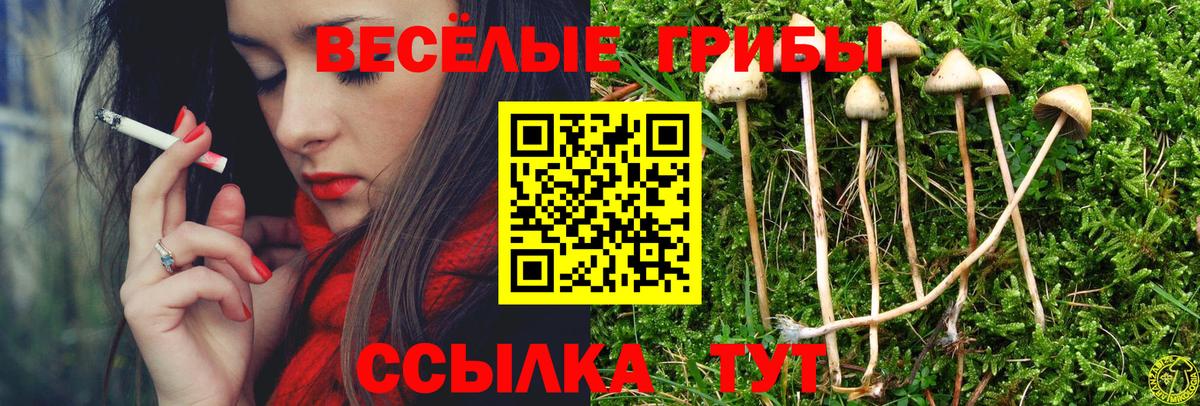Галлюциногенные грибы ЛСД Петропавловск-Камчатский
