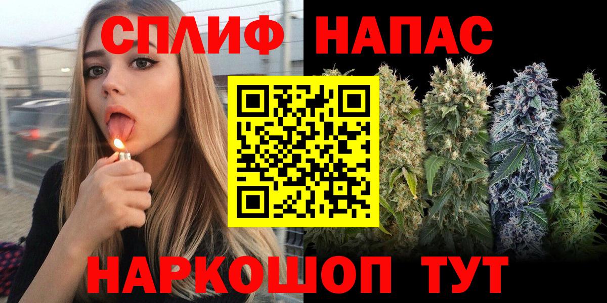 Бошки марихуана планчик  Канабис план  МАРИХУАНА планчик  Марихуана сатива  Петропавловск-Камчатский  Вход с VPN 